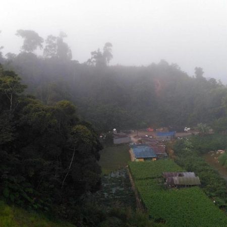 The Pines Hotel Kampung Kuala Terla Dış mekan fotoğraf