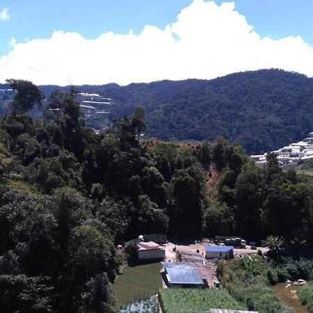 The Pines Hotel Kampung Kuala Terla Dış mekan fotoğraf