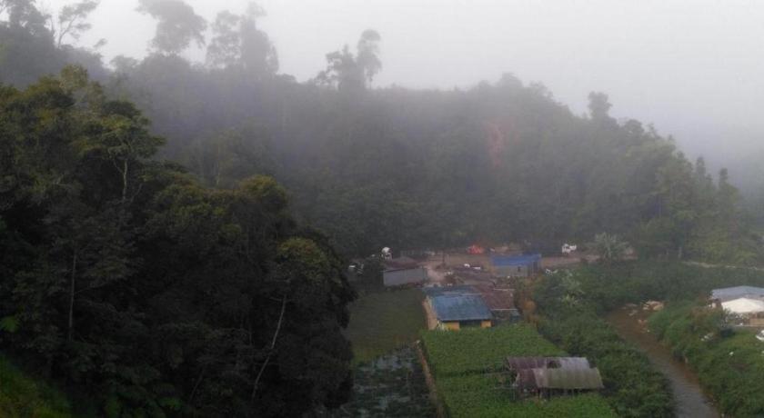The Pines Hotel Kampung Kuala Terla Dış mekan fotoğraf