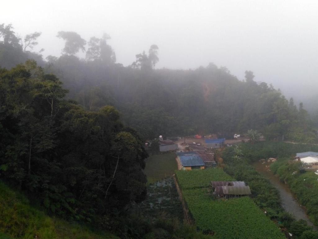 The Pines Hotel Kampung Kuala Terla Dış mekan fotoğraf